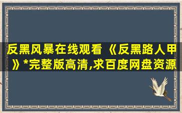 反黑风暴在线观看 《反黑路人甲》*完整版高清,求百度网盘资源